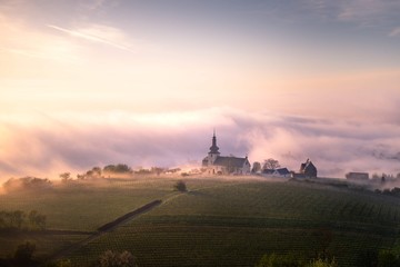 Foggy Morning at Nierstein - Rhineland Palatinate