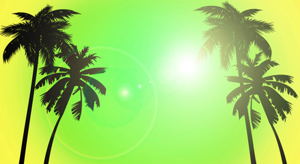 Fototapeta na wymiar Tropical background, palm tree, sunset