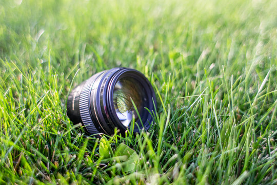 Lens on the grass