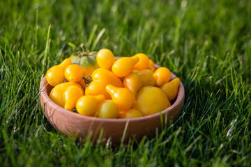 Fototapeta na wymiar Yellow tomatoes on a wooden plate