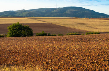 abgeerntete Felder im Sommer mit Blick zum Donnersberg, Pfalz, Rheinland-Pfalz, Deutschland