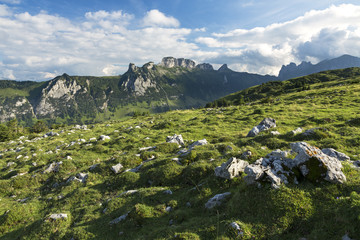 Fototapeta na wymiar Wiesenlandschaft und Weide auf dem Alpsigel