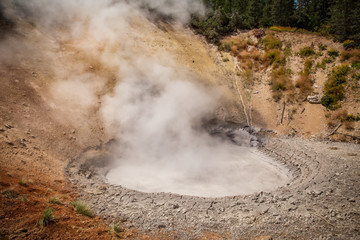 Erupting small hot springs at Yellowstone National Park in a summertime landscape