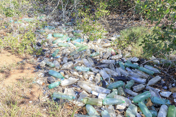 Garbage of all kinds, plastic bottles, styrofoam, rubber, aluminum and glass cans, environmental pollution in Brazilian mangrove, serious ecological problem. Guaratiba - Rio de Janeiro.