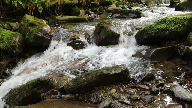 Sunny forest rocky stream with mossy rocks and waterfalls. Slider equipment used. Slow motion.