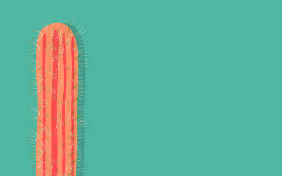 vector image cactus on bright background