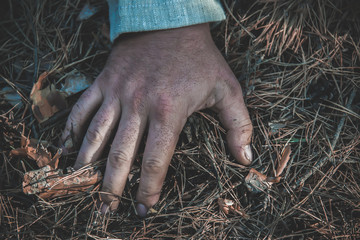 the hand of the dead man in the forest