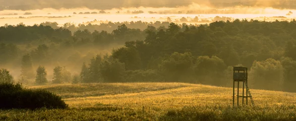 Foto op Plexiglas jachttoren in de vallei in de ochtendmist © Mike Mareen