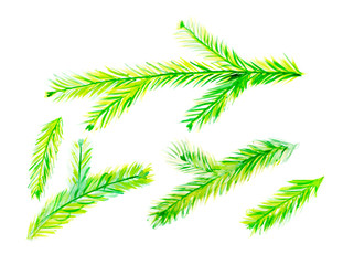 Collection of Green Watercolor Christmas Tree Branches Isolated