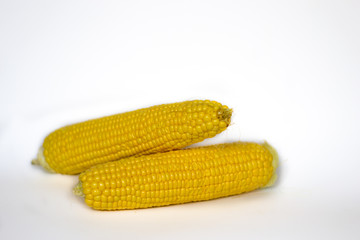 Yellow corn pods. white background. subject photography