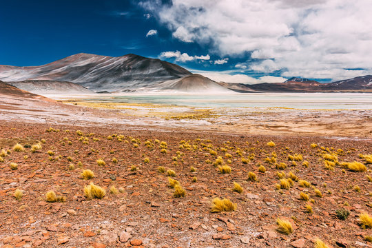 Salar de Talar in the Chilean plateau of the Atacama Desert