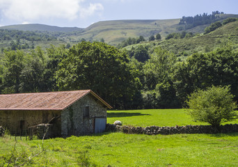 Fototapeta na wymiar Paisaje verde de los campos de Cantabria con una casa, verano de 2018
