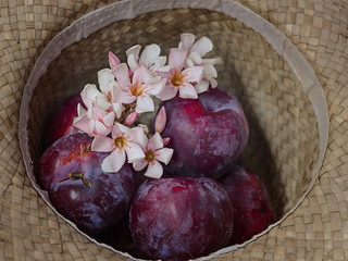 Bodegón con ciruelas y flores