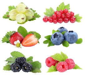Beeren Sammlung Erdbeeren Blaubeeren Himbeeren Früchte isoliert Freisteller freigestellt