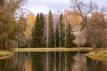 Lake and forest on the shore on a cloudy autumn day. Late fall.
