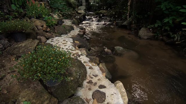 Small brook in small valley north of thailand. Peaceful brook in early spring forest
