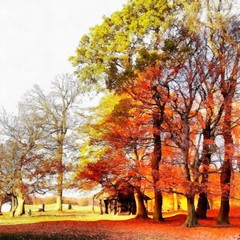 Hand drawing watercolor art on canvas. Artistic big print. Original modern painting. Acrylic dry brush background.    Painting for sale. Beautiful autumn landscape. Tree with yellow leaves. City park 