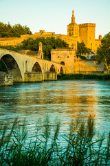 The city of Avignon at Sunset with Popes Palace in France