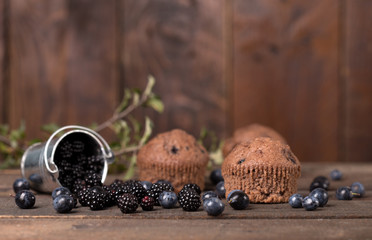 chocolate muffin with blackberry and blackthorn