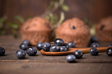 chocolate muffin with blackberry and blackthorn