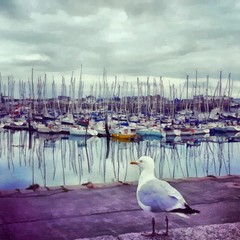 Oil painting. Art print for wall decor. Acrylic artwork. Big size poster. Watercolor drawing. Modern style fine art. Art for sale. Beautiful autumn harbor landscape. Bright boats. Single gull on pier.