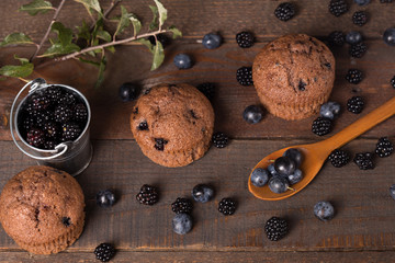 chocolate muffin with blackberry and blackthorn