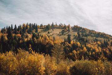 Beautiful landscape in the mountains in autumn.On the trees colorful leaves