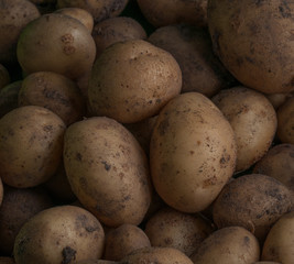 Home Grown Muddy Potatoes