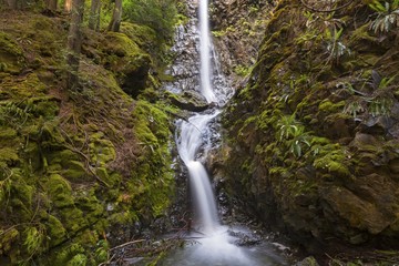 Obraz premium Lush Rainforest Foliage and Beautiful Lupin Falls in Strathcona Provincial Park on Vancouver Island British Columbia Canada