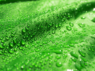 Green waterproof fabric with waterdrops close up