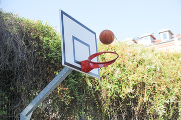 basket