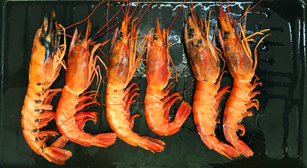 Six big langoustines on the frying pan