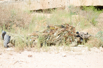 Fototapeta premium Sniper prone supported position Keep the body in line with the weapon bush camouflage outside
