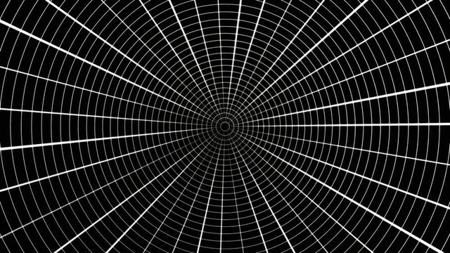 Rotating web silver with light blurs. Spider's Web Animation loop. Grid net spider web tunnel abstract drawing polygonal motion.
