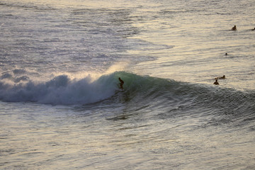 Surfers riding waves during sunset session at a surfer spot in Bali, Indonesia Uluwato, Bingin