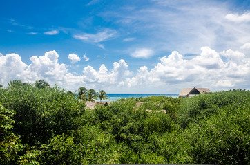 Fototapeta na wymiar View of the jungle from a hotel room