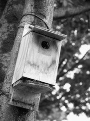 野鳥の巣箱