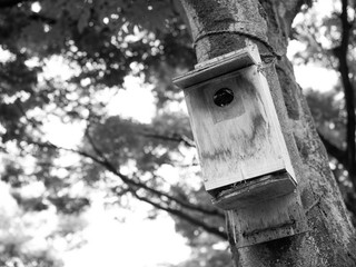 野鳥の巣箱
