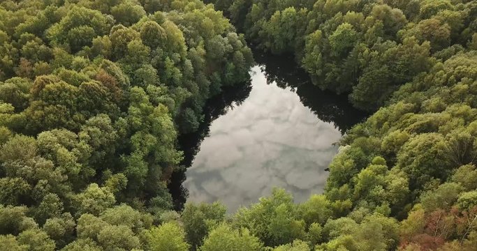 Aerial shot of lake with surrounding forest