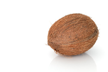 Fresh coconut on white background.