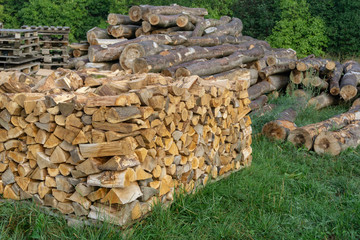 stack of firewood for the winter