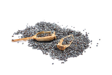 Dry poppy heads with seeds on white background