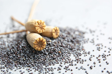 Dry poppy heads and seeds on grey background, closeup