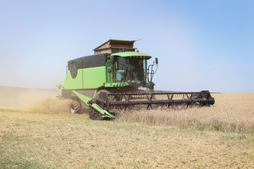 Fototapeta na wymiar Harvesting wheat on a harvester on a summer day. Agriculture