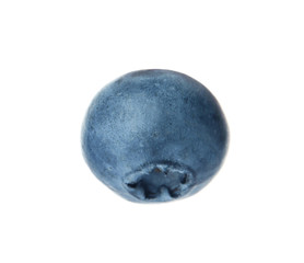 Whole fresh tasty blueberry on white background