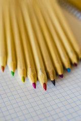 Group of pencils arranged on graph paper.