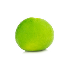 lime isolated on white background