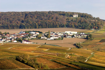Obraz premium Vignoble de Champagne