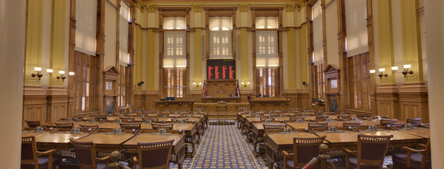 Georgia Senate - obrazy, fototapety, plakaty