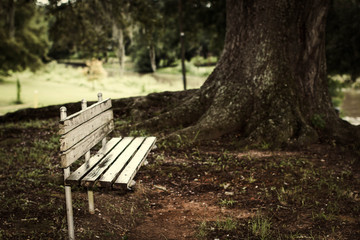 Park Bench